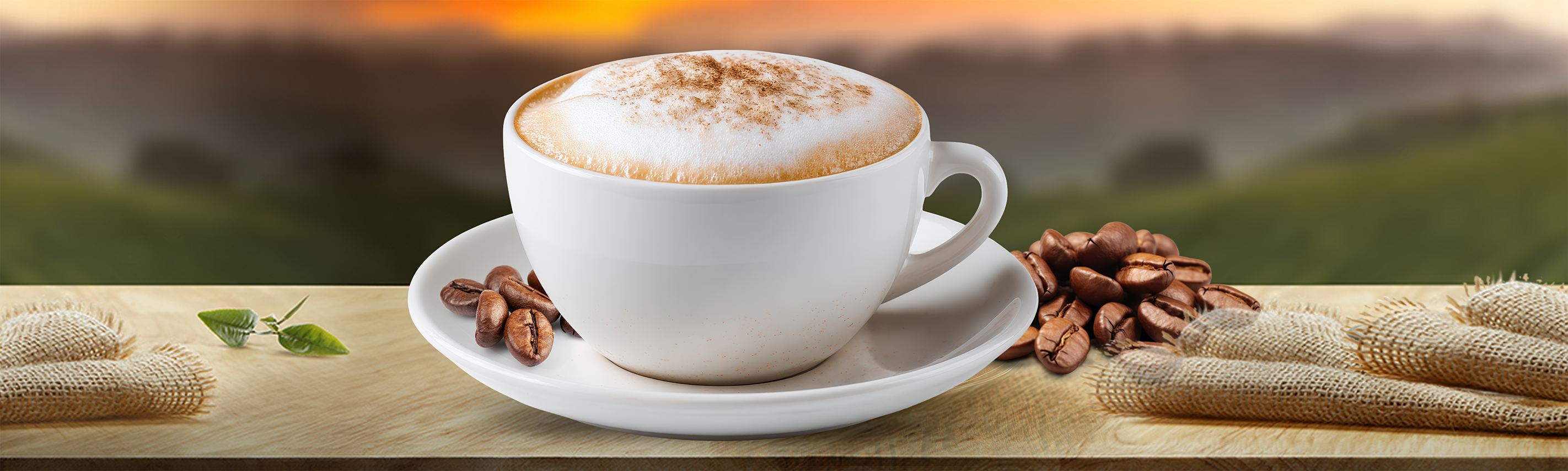 Cialde e capsule Cappuccino Agostani