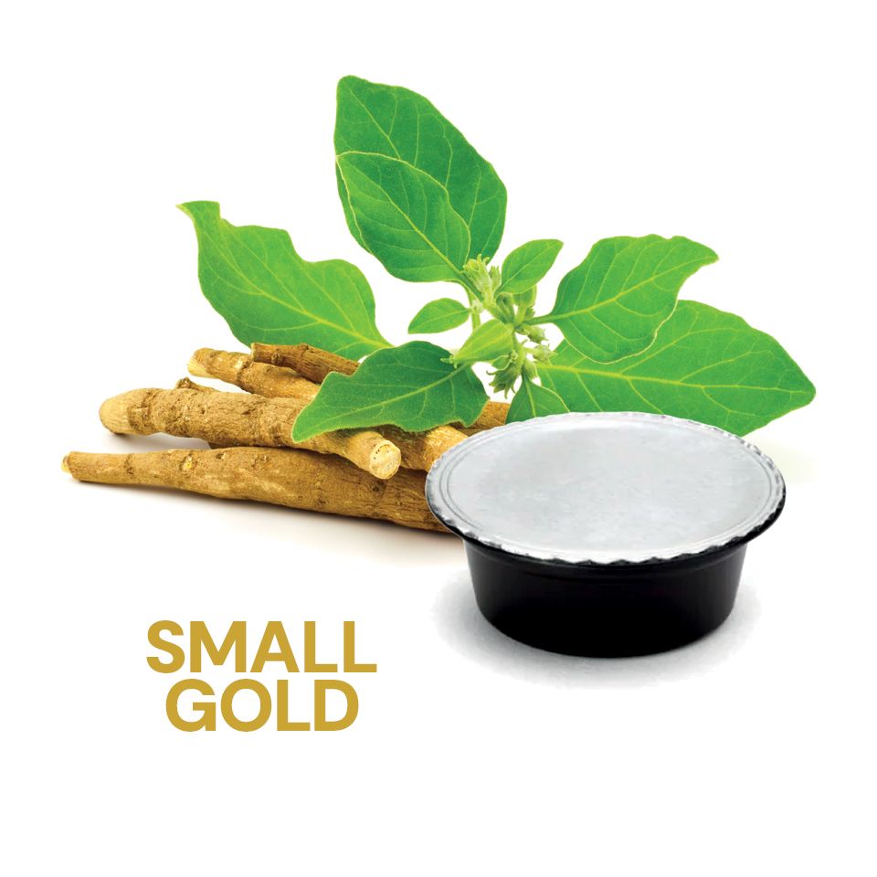 Immagine di 16 capsule Ginseng Agostani SMALL GOLD compatibili Lavazza a Modo Mio