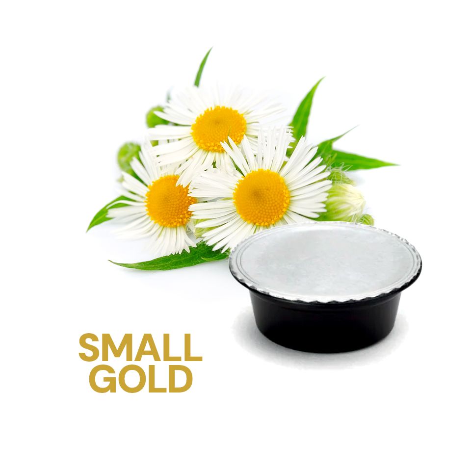 Immagine di 16 capsule Camomilla Agostani SMALL GOLD compatibili Lavazza a Modo Mio