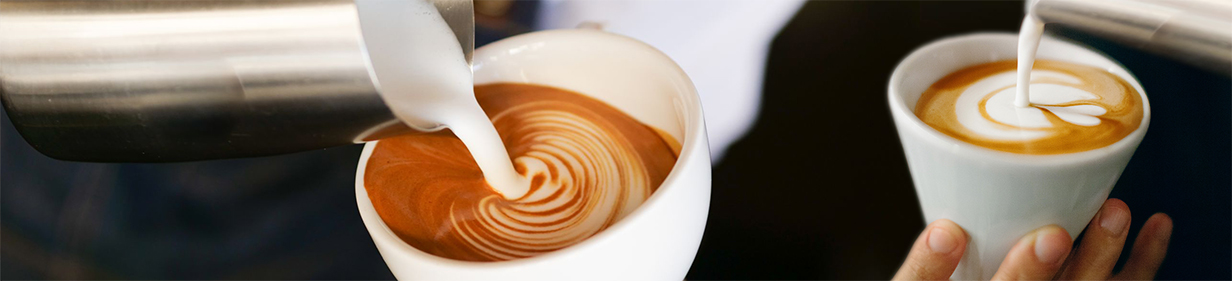 Cappuccinatori e montalatte elettrici Cappuccinatori e montalatte elettrici